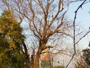 Ma Durga Mandir Chhanta