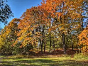 Stadsparken