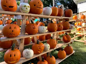 Hillsdale County Fair