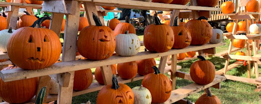 Hillsdale County Fair