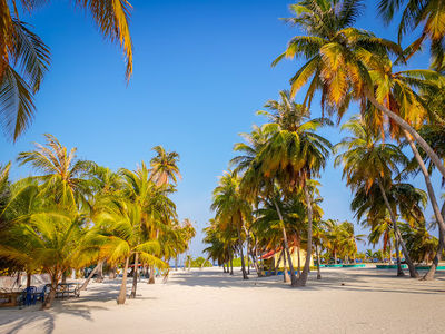 Kamadhoo