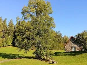 Marguse Spordibaas
