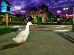 Zachary Community Park
