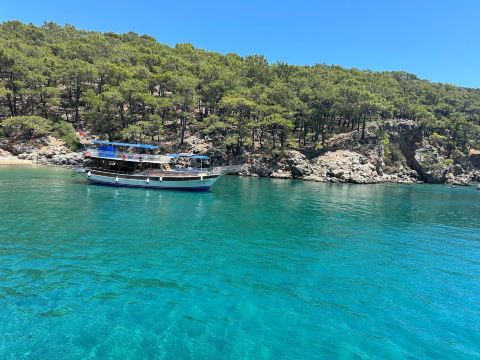 Porto Ceneviz Koyu