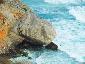 Mirador Las Brisas de San Juan