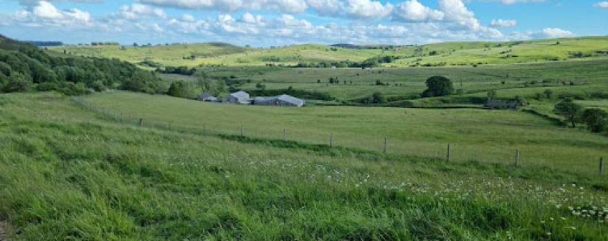 Thick Withins Farm Campervan & Motorhome Aire Stopover