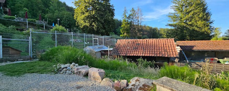 Tierpark Bad Zurzach