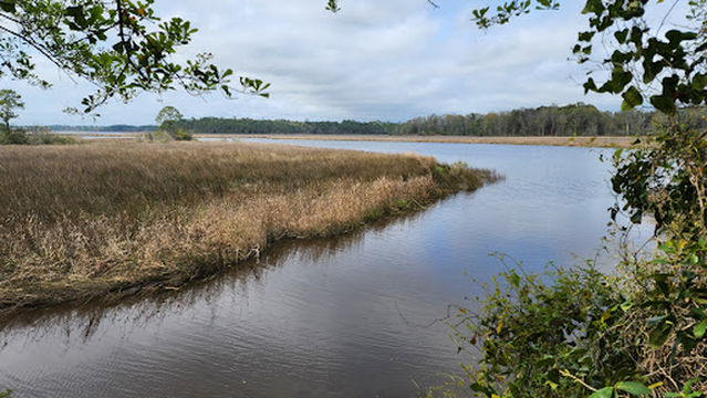 Twelve Oaks Nature Trail