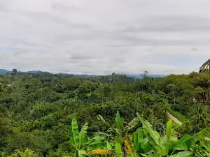 Wingei 2
