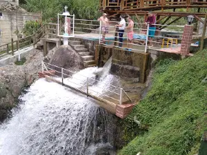 Estadero Jaleas