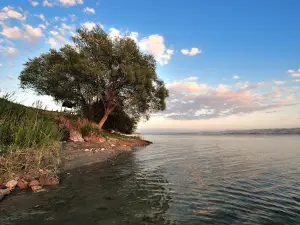 Toklumen public beach