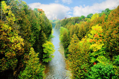 Elora Gorge