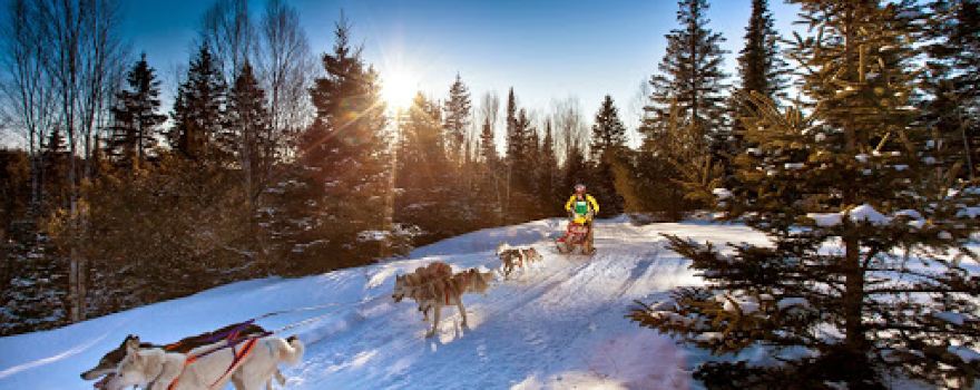 Kearney Dog Sled Races