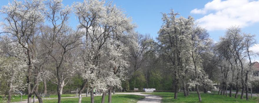 Stadtpark Garbsen