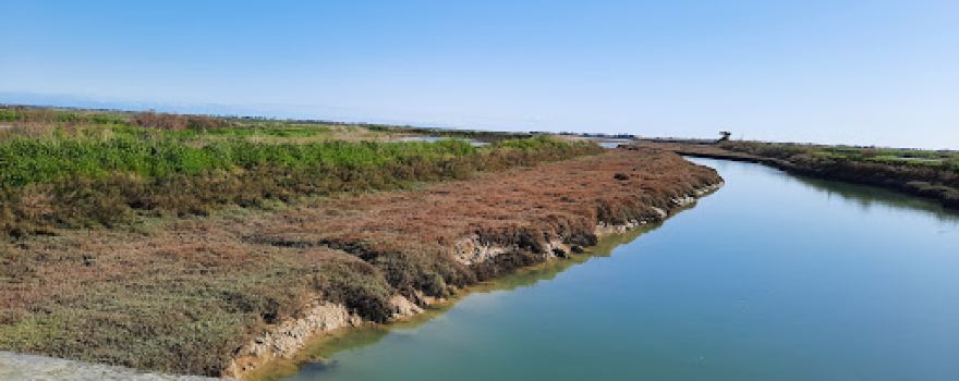 Réserve Naturelle de Lilleau des Niges
