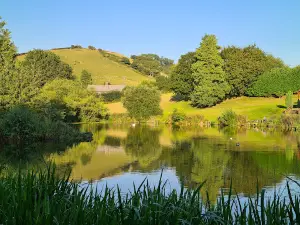 Exebridge Lakeside Caravan and Motorhome Club Campsite