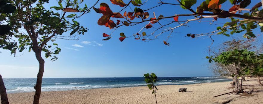Villa Elfa Beach and Resort