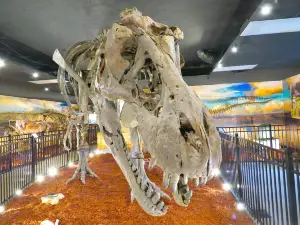 Dinosaur World