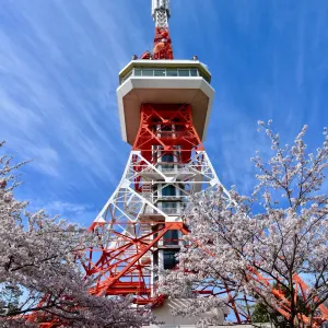八幡山公園