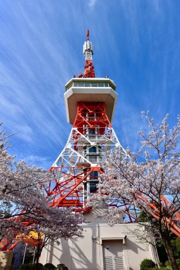 Hachiman-yama Park