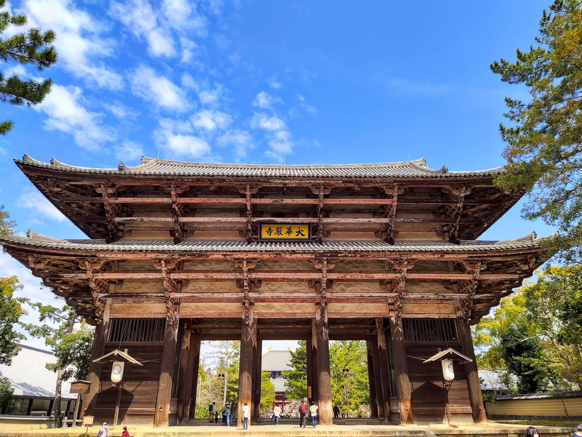 Nara's ancient wonders and medieval old-world vibes | Trip.com