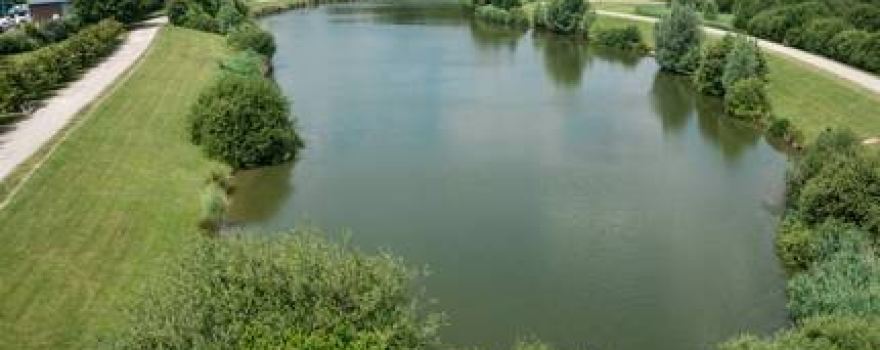Parc Georges Brassens