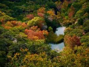 Lost Maples State Natural Area