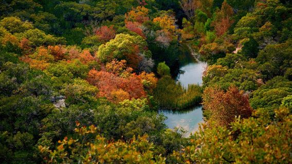 Lost Maples State Natural Area