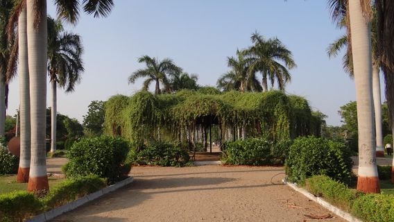 Ajwa Garden