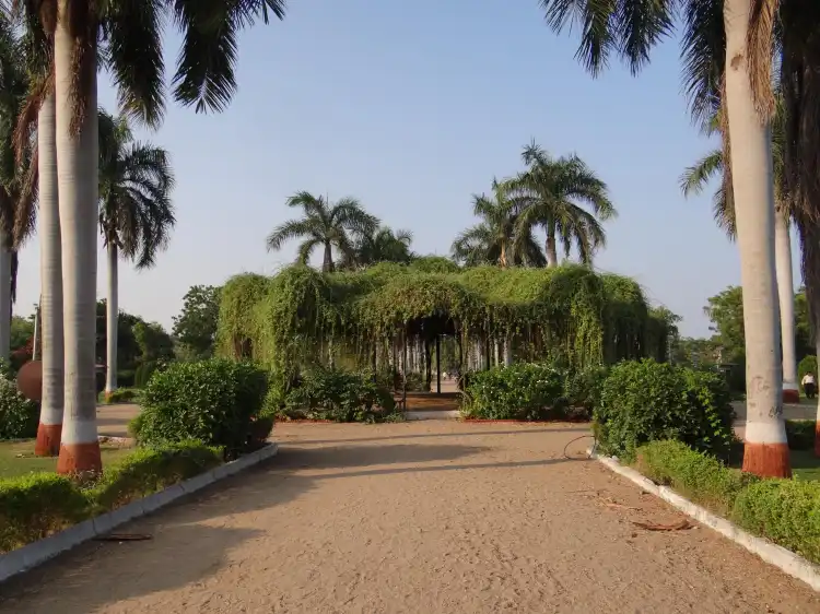 Hotels near Ajwa Garden