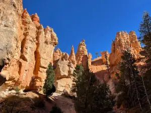Canyon Trail Rides