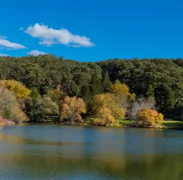 MGallery Properties in Crafers