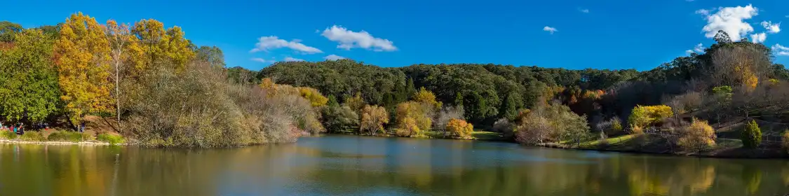 マウント・ロフティ・ボタニック・ガーデン周辺のホテル