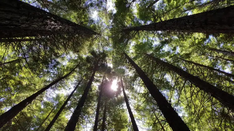 Hotels in East Warburton