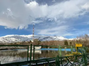 Mellat Park