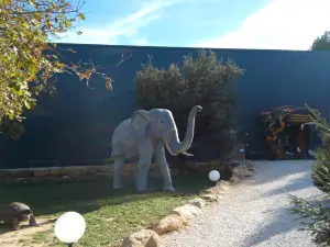 Montopoto