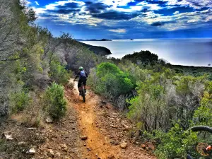 Cala Violina