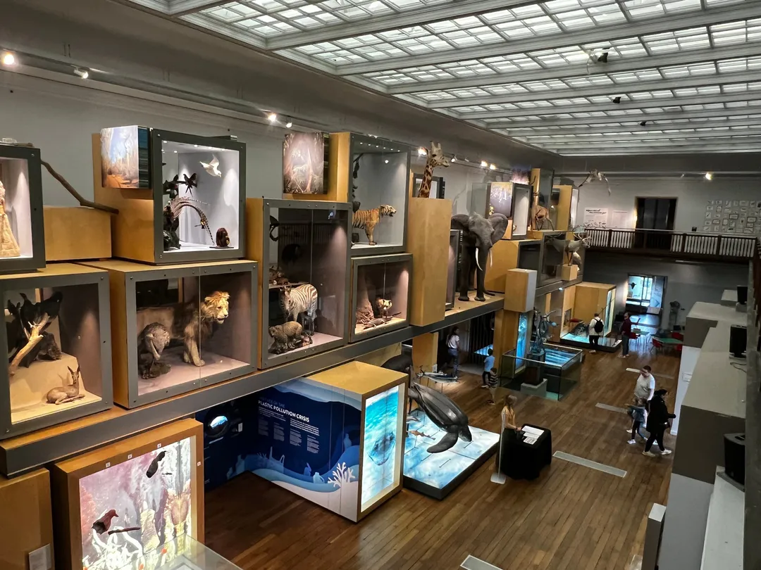 2_Great North Museum: Hancock