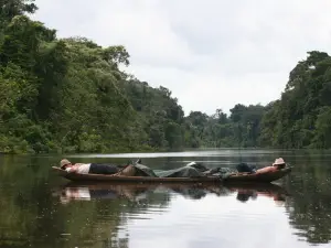 Pacaya Samiria National Reserve