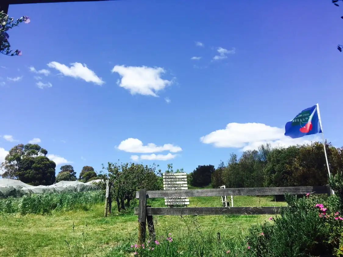 Sorell Fruit Farm附近的飯店