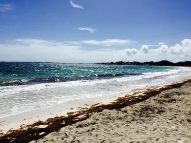 Jabberwock Beach