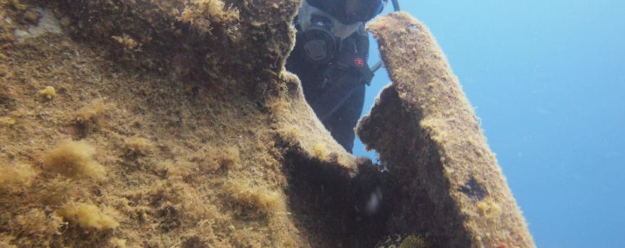 Canary Diving