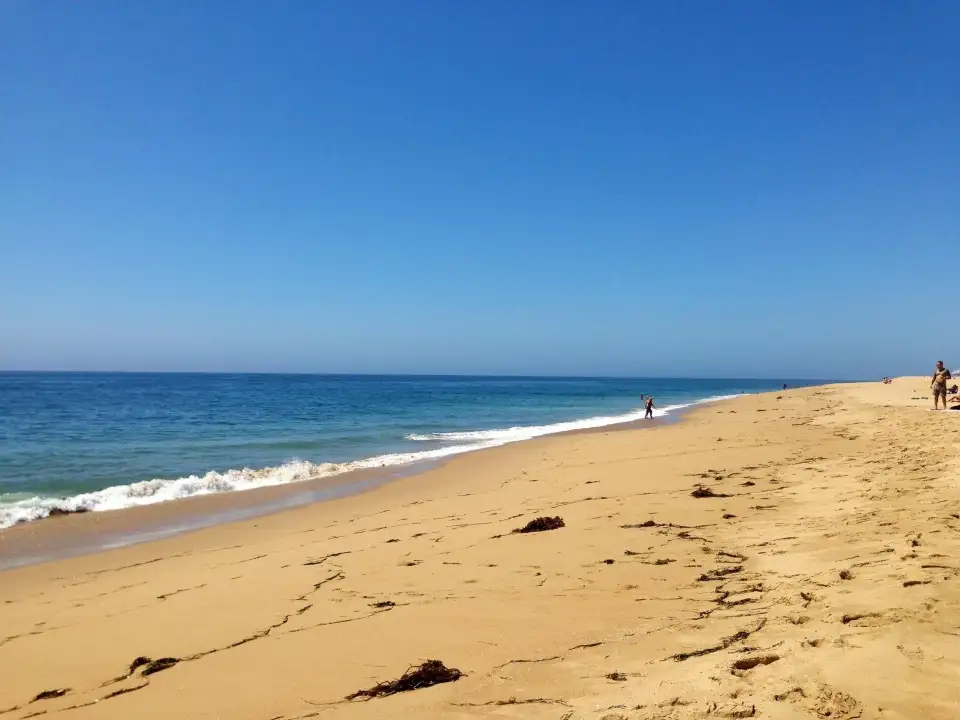 1_The Wedge