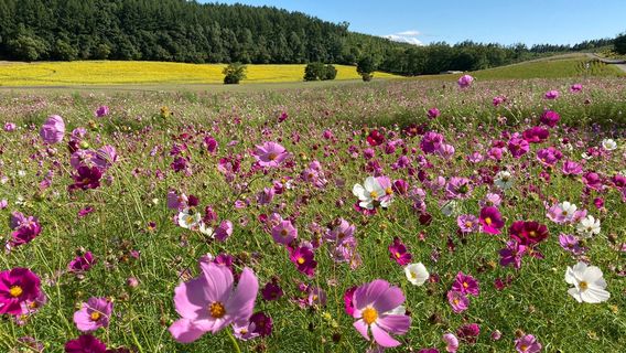 Taiyou-no-Oka Engaru Park