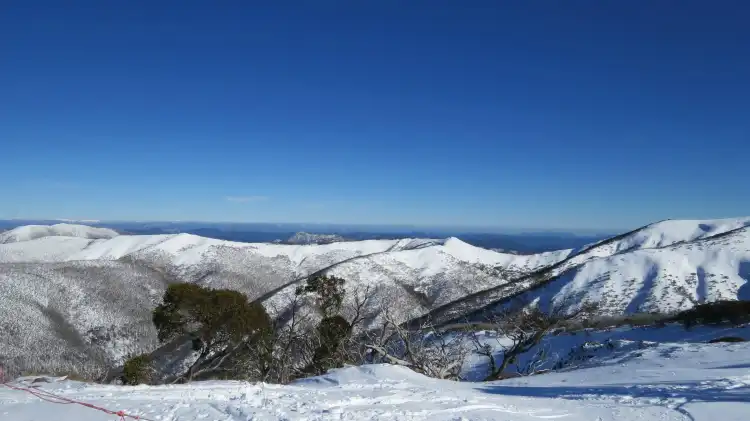Hotels in Hotham Heights