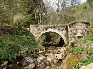 Moulin des Massons