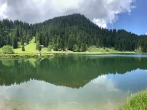 Hoch Ybrig