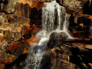 Corin Forest Mountain Resort