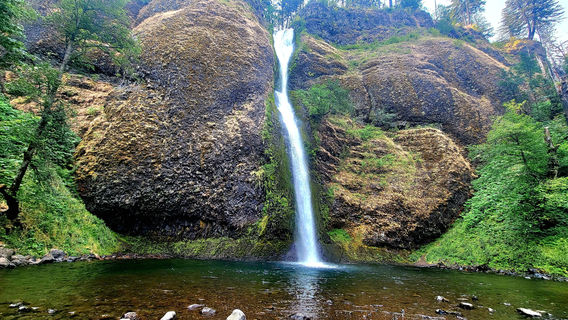 Horsetail Falls- Columbia River Gorge
