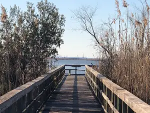 Meaher State Park